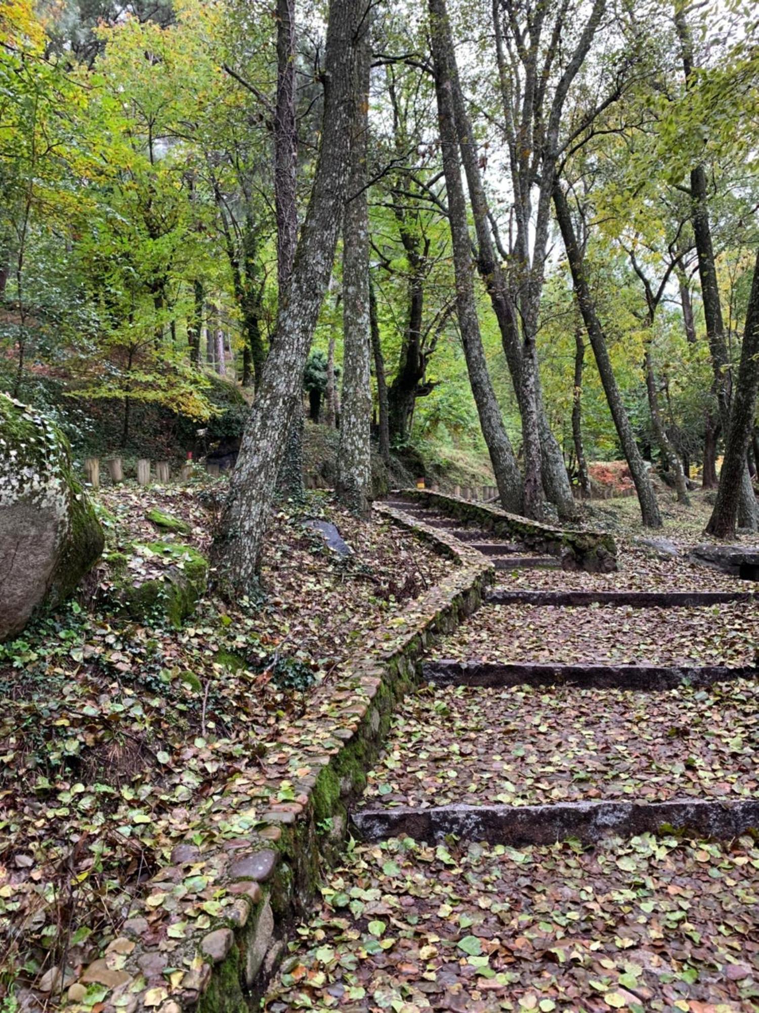 El Refugio De Felix Villa Sotillo de la Adrada Buitenkant foto