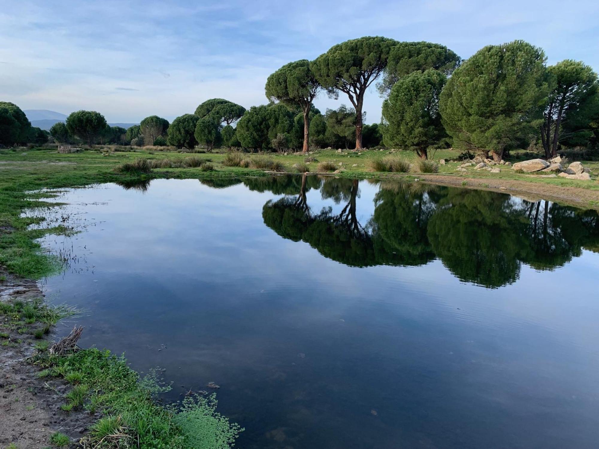 El Refugio De Felix Villa Sotillo de la Adrada Buitenkant foto